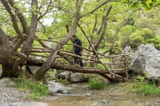 ξύλινο γεφυράκι στο ρέμα Μπαρμπά