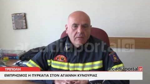 ArcadiaPortal.gr Υπάρχουν μπαράζ εμπρηστικών επιθέσεων, στα Άνω Δολιανά